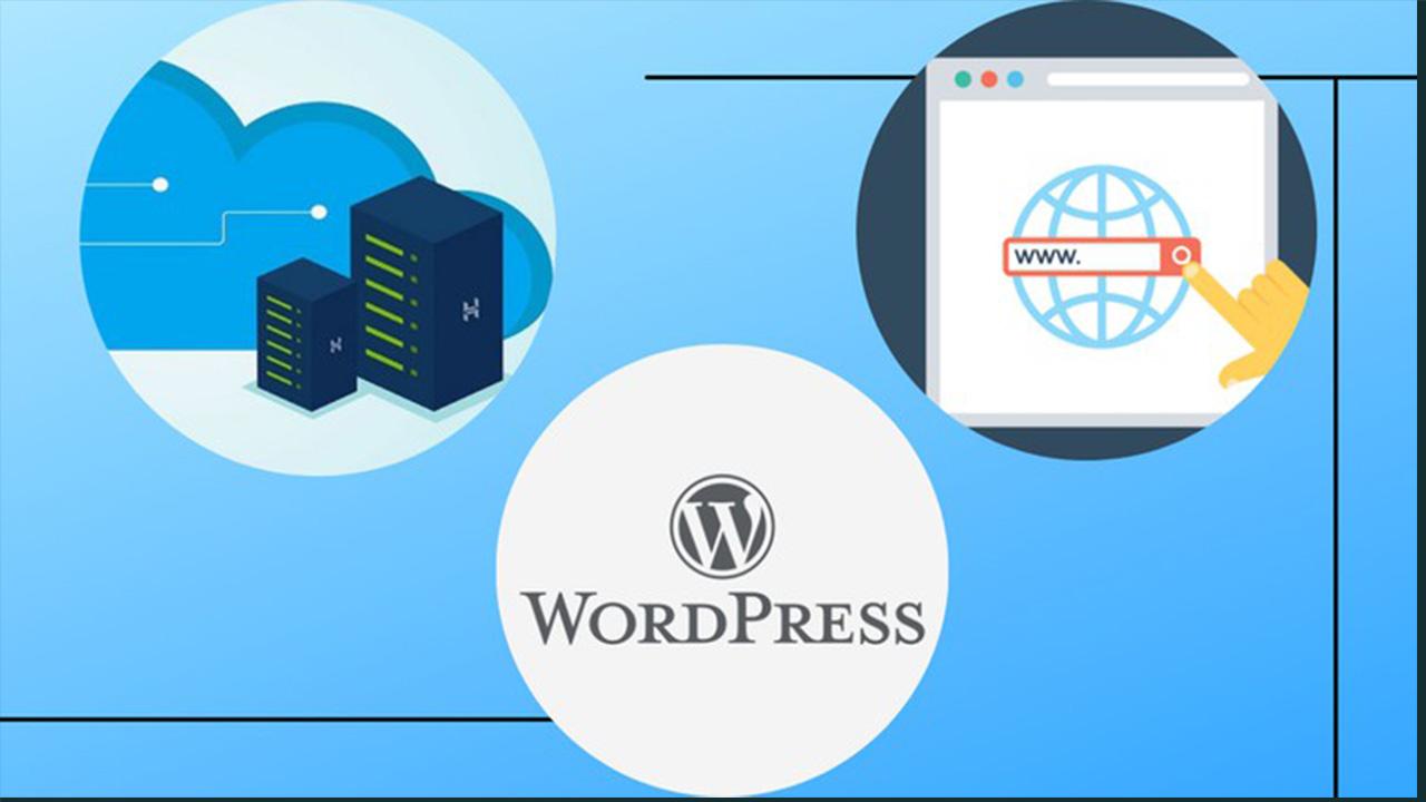 Web Development With WordPress - Build Professional Websites